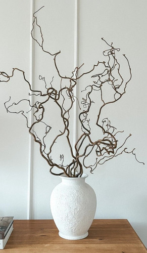Twisted hazel branches - twisted,