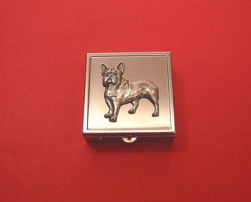 French bulldog square - bulldog,