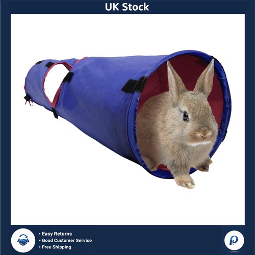 Fun interactive small - fun,