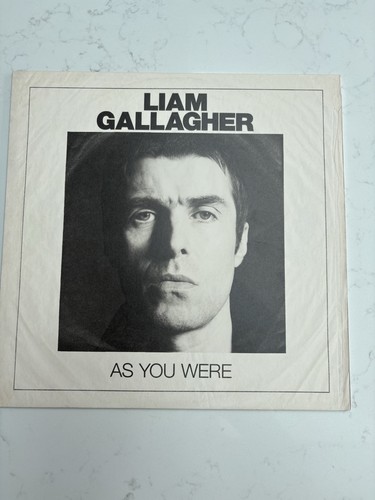 Liam gallagher you were - gallagher,