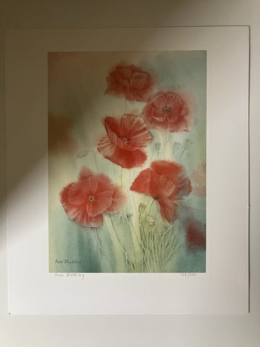 Ann blockley poppy print 109 - ann,