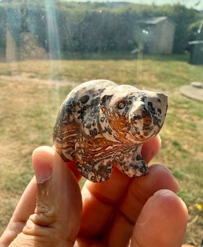 Leopard skin jasper bear - leopard, shape