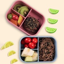 Microwavable Food Container 3