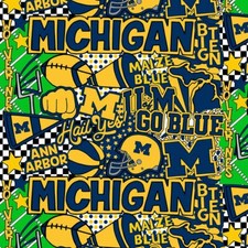University Michigan Wolverines