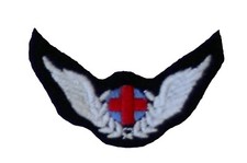 Flight Nursing Attendant Badge