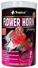 Tropical FLOWER HORN YOUNG