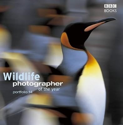 Wildlife photographer the - photographer,