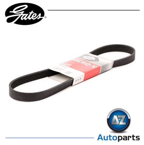 Rib ribbed belt 6pk923 - v-ribbed,