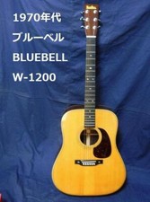 Acoustic guitar W-1200 W1200