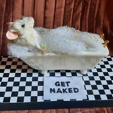 Cute Mouse Taxidermy In Bubble