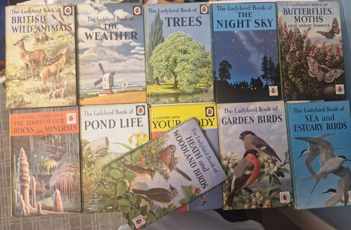 Ladybird nature book series - ladybird,