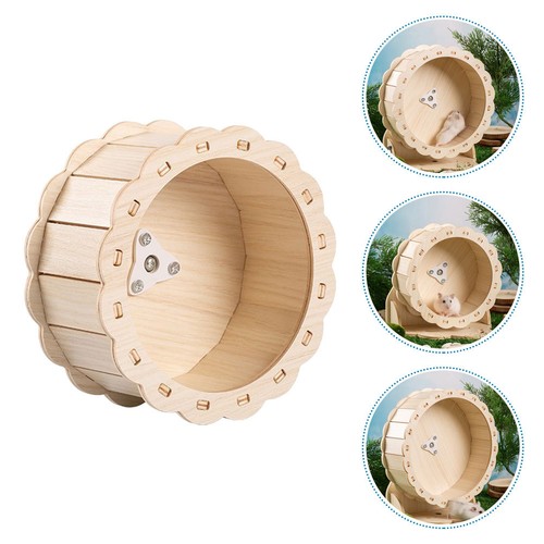 Chinchilla exercise wheel - chinchilla,
