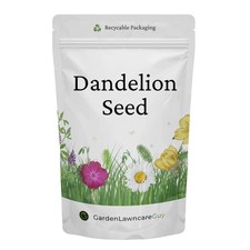 Dandelion Seed (Taraxacum Officinale Forage)