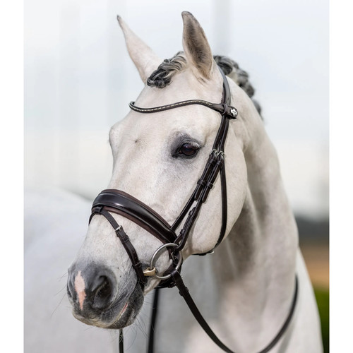 Lemieux classic dressage - classic,