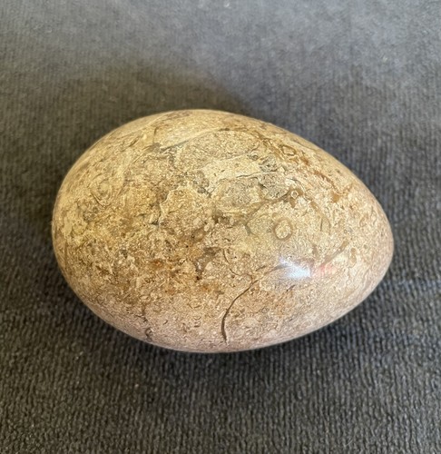 Polished fossil gemstone egg - polished,