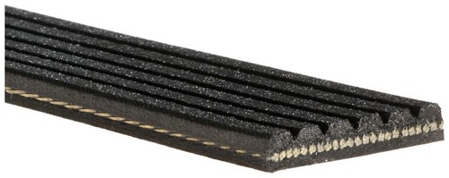 Fits gates 6pk1445 ribbed - fits,