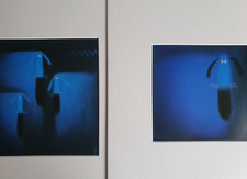 Govinder Nazran blue dog duo