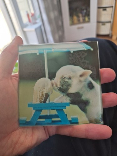 Tempered glass pig - pig, picture
