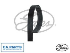 V-Ribbed Belts for FIAT CROMA