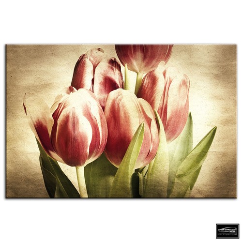 Tulips flowers vintage box - flowers,