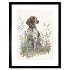 German Pointer Dog in Field