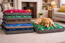 Hometex Luxury Velour  Box Dog