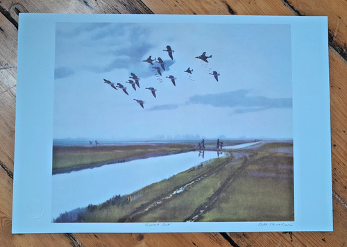 Gee vaucher great scott - scott, print
