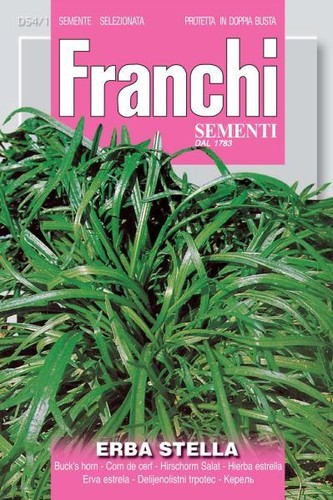 Franchi seeds bucks - franchi,