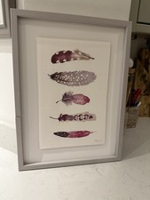 Laura Ashley FEATHERS Framed Print 44 X 34 Cm