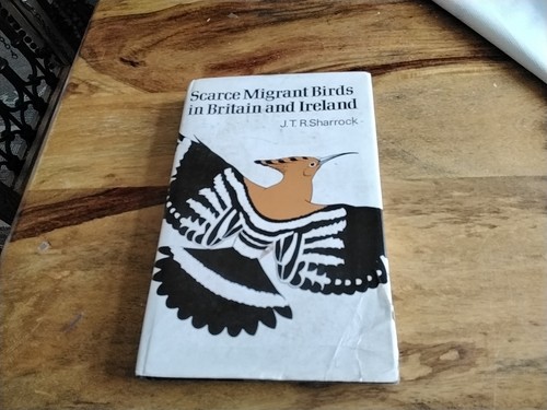 Scarce migrant birds - scarce,