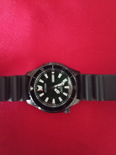 Citizen fugu promaster - fugu,