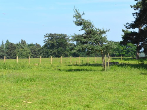 Photo 6x4 pasture - pasture, land