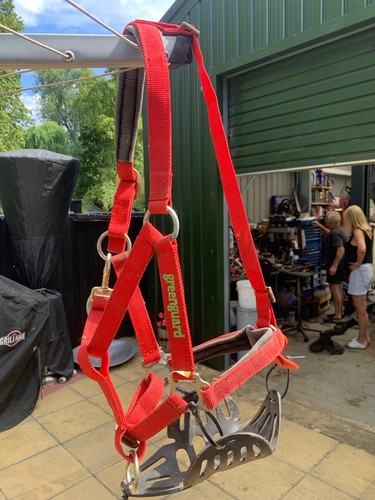 Greenguard headcollar and a - headcollar,and,