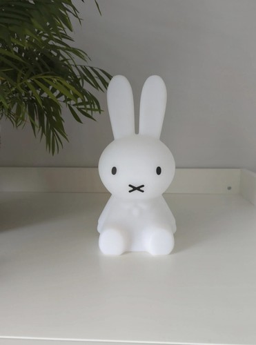 Miffy style bunny - rabbit, night
