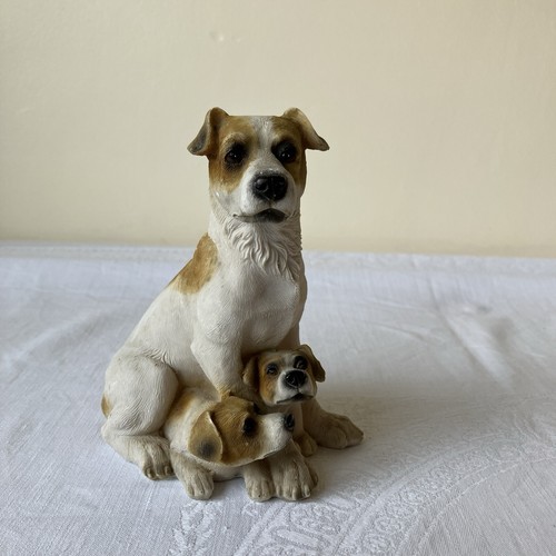 Jack russell terrier mother - jack,