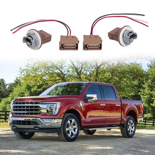 Pack turn signal lamp - 2,