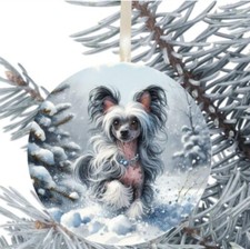 Chinese Crested Dog Hanging