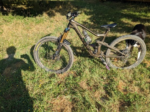 Custom scott ransom - custom,