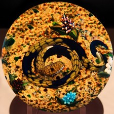 William Manson Desert Snake