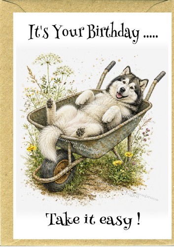 Alaskan malamute dog - (4"x, 6")