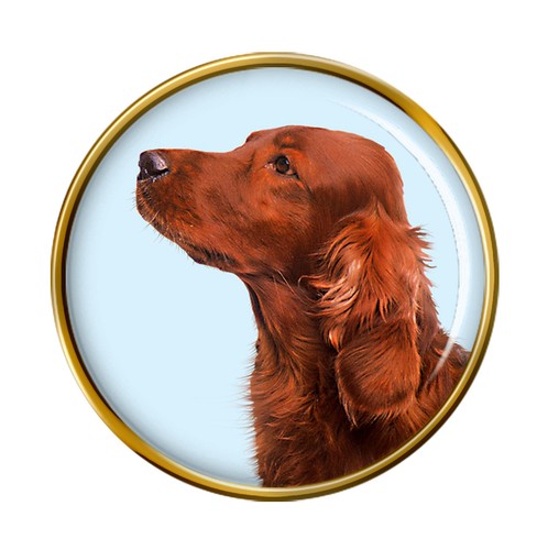 Irish red setter - dog, pin