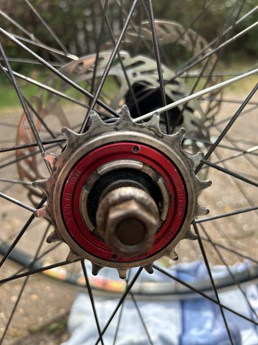 Surly singlespeed wheelset - singlespeed,