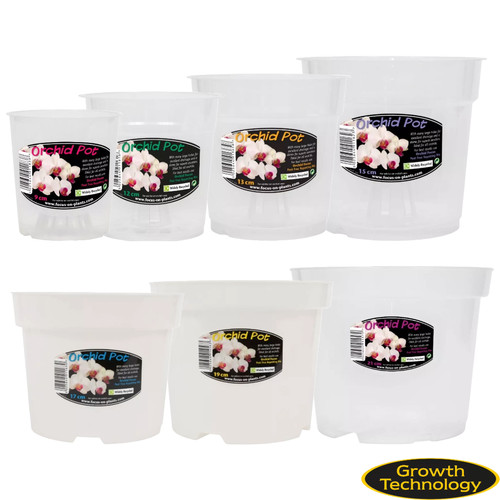 Growth technology clear orchid - technology,