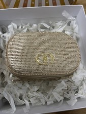 Dior  small Golden Vanity