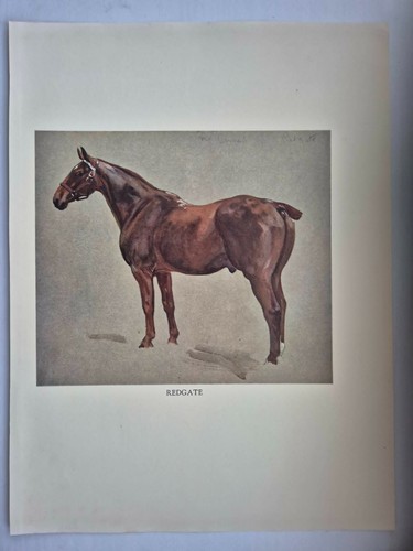 Antique coloured fox hunting - antique,