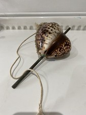 2 x Tiger Cowrie Shells - Octopus Lure Bait Fishing - Vintage Unusual Rare