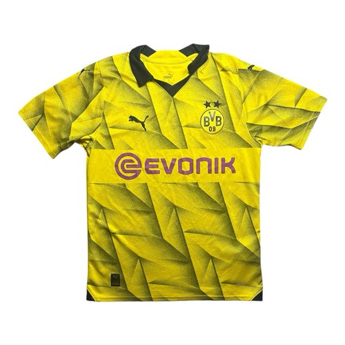 Borussia dortmund football - borussia,