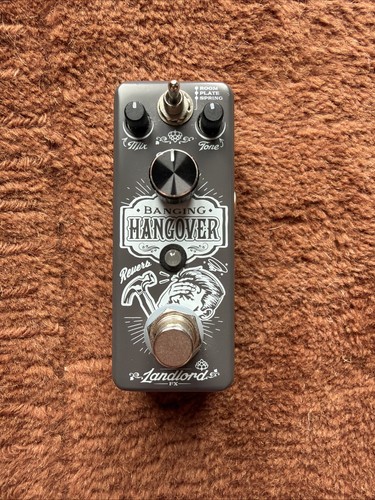 Landlord banging hangover - fx,
