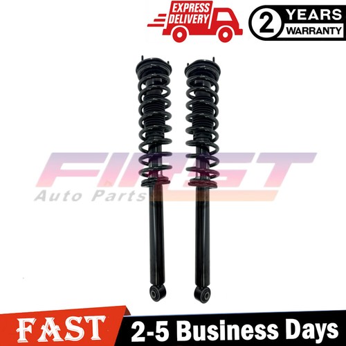 Rear shock struts - rear,