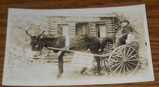 Postcard RPPC Donkey Carriage